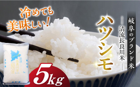 【11月発送】【R7年産】岐阜ハツシモ 5kg 名水100選に選ばれた長良川中流の水で育った「清流長良川米」 すし飯  冷めても美味しい お米 岐阜市/森ライス [ANCU002]