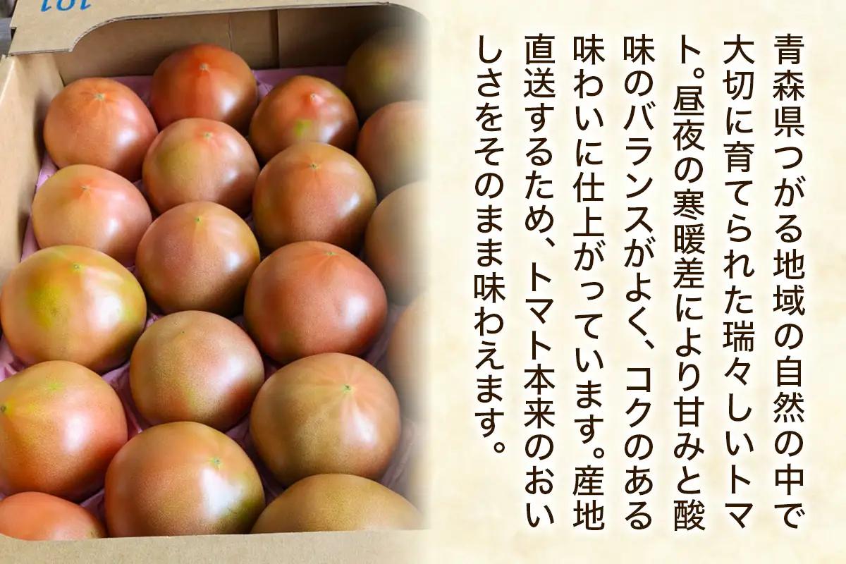 つがるの新鮮トマト 約4kg(20個から24個) [1004]