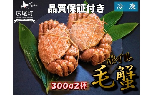 毛ガニ300g×2杯（冷凍茹で）【けがに　ケガニ　毛蟹　毛がに　カニ　太平洋　北海道　広尾町　冷凍　ボイル　広尾産業流通振興公社】(0100)