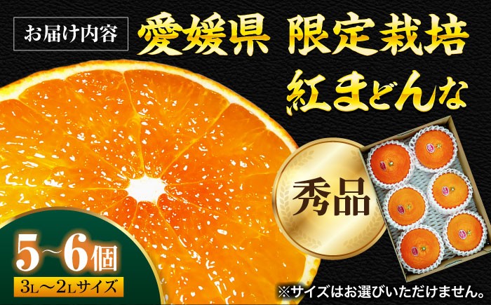 みかん オレンジ フルーツ ミカン 果物 愛媛みかん くだもの 愛媛県産みかん 紅まどんな まどんな マドンナ 紅マドンナ 