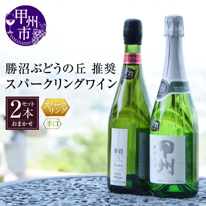 勝沼ぶどうの丘推奨スパークリングワイン辛口2本セット B2-604【ワイン スパークリングワイン 甲州市 山梨県】