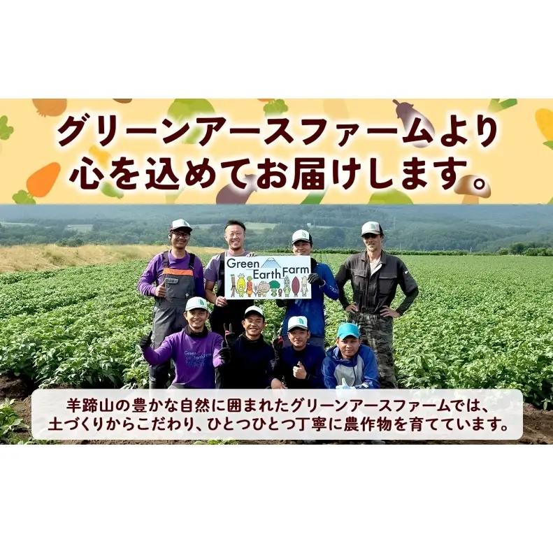 とうもろこし 味来 2Lサイズ 13本 約5kg 北海道産 朝もぎ イエロー コーン みらい