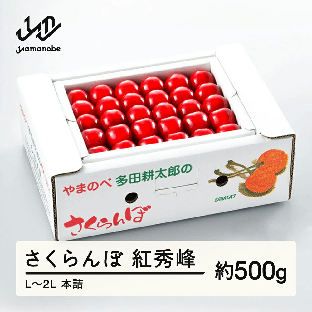 【ふるさと納税】 《先行予約》 2026年 山形県産 さくらんぼ 紅秀峰 約500g L~2L 本詰め やまのべ多田耕太郎のさくらんぼ 多田農園 予約 サクランボ フルーツ くだもの 果物 デザート 山形県 山辺町 送料無料 F20A-046