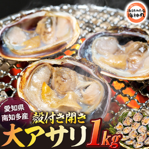 訳あり 大アサリ あさり アサリ 貝 魚貝 1kg 愛知県 南知多町
