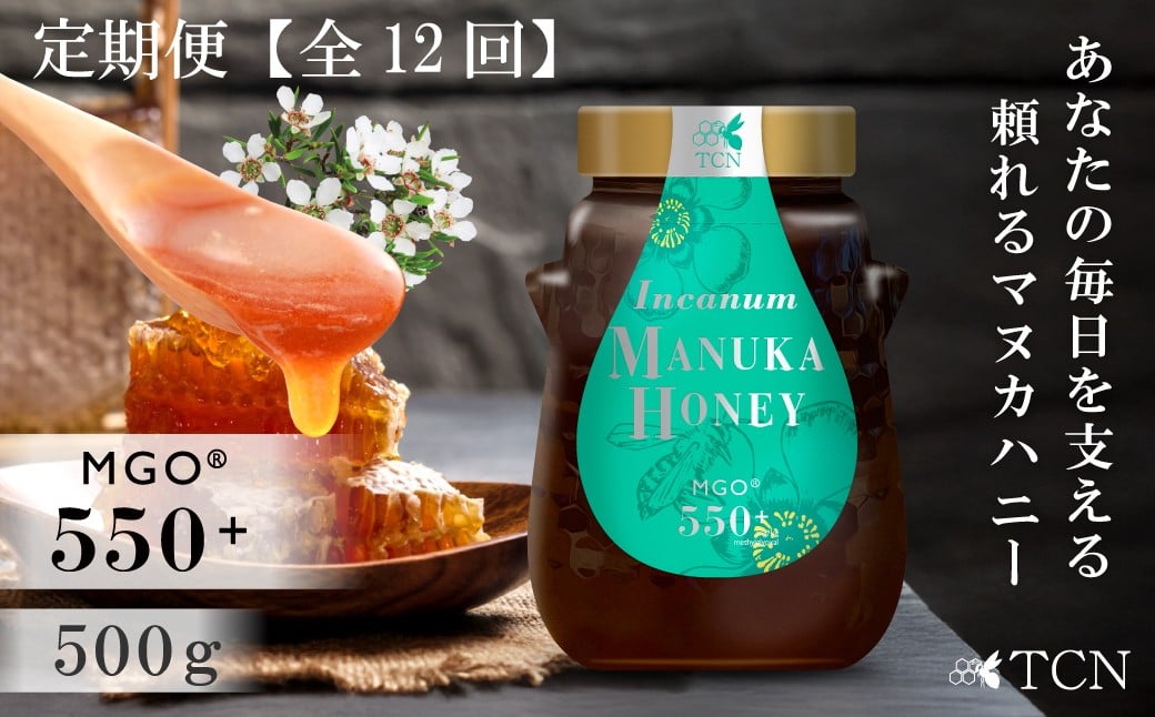 
                  【定期便全12回】マヌカハニー MGO550+ 500g インカナムマヌカハニー・T144
                