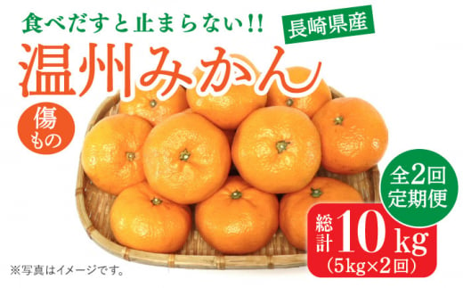 【2024年12月〜発送】【訳あり 2回 定期便 】 温州みかん 約5kg（傷もの） / みかん 訳アリ 定期便 ミカン 蜜柑 長崎県産みかん 糖度 果物 くだもの 果物定期便 フルーツ ふるーつ フルーツ定期便 旬 家庭用 5kg / 南島原市 / 南島原果物屋 [SCV018]