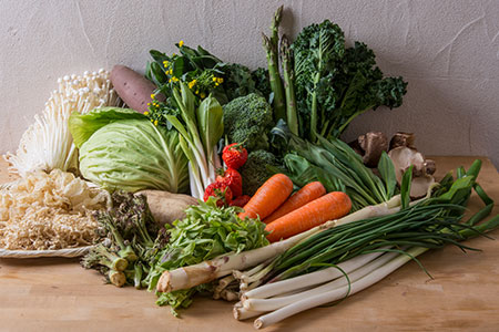 野菜 旬の野菜セット 野菜 野菜 野菜 野菜 C08