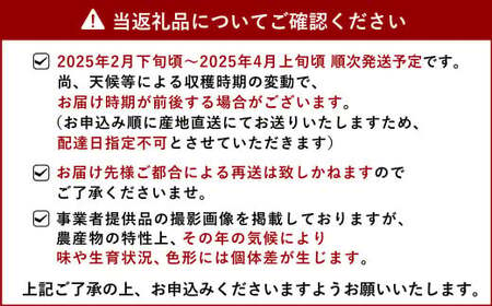 【先行予約】 熊本県 宇城市産 不知火 訳あり 約8kg 【2025年2月下旬から4月上旬発送予定】しらぬい 柑橘 フルーツ 果物 果実 みかん 蜜柑 ミカン