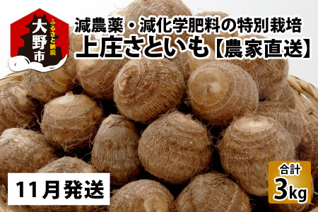 【先行予約】【11月発送分】上庄さといも 3kg 減農薬・減化学肥料の特別栽培里芋 農家直送