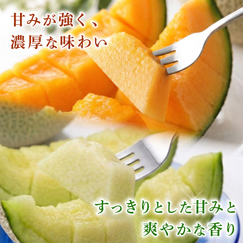 【先行予約】贈答用 メロン 青肉・赤肉 セット 各1個 | 青肉 メロン 赤肉 メロン セット 1個 マスクメロン めろん フルーツ 果物 厳選 高級 人気 デザート ギフト プレゼント 贈り物 くだ