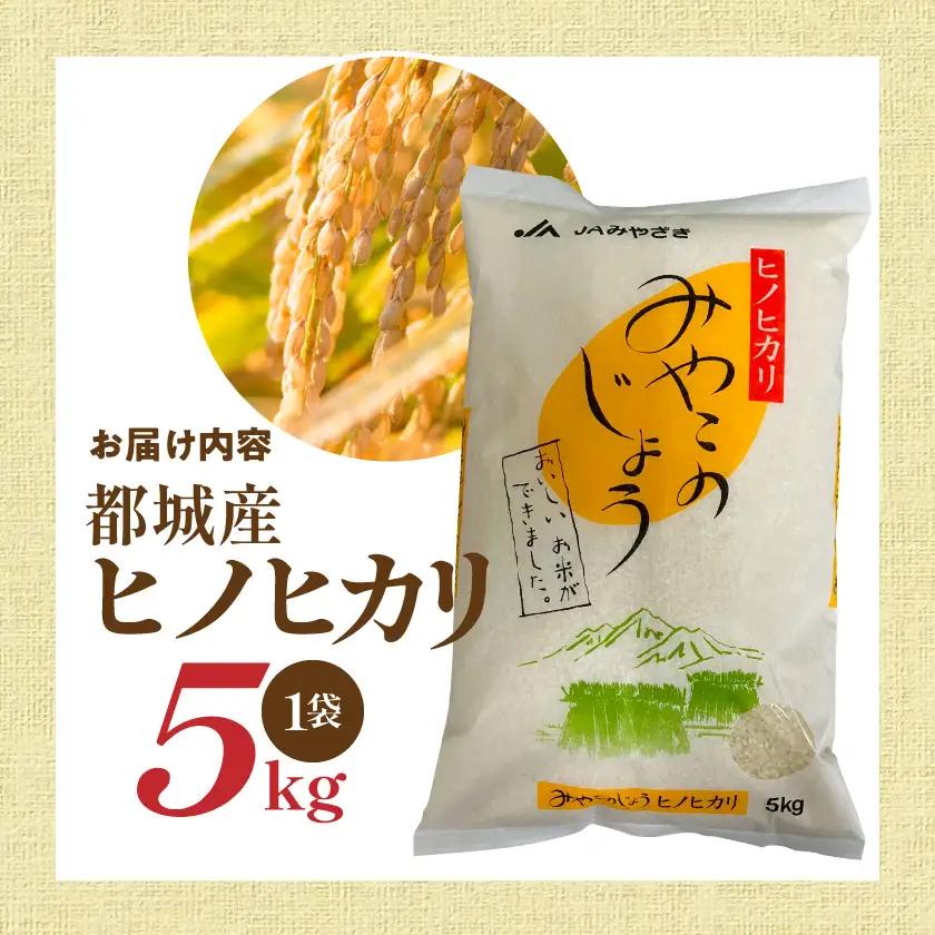 都城産ヒノヒカリ5kg×1袋〔17-01-002-5kg〕_(都城市) 白米 ひのひかり 弁当 おにぎり