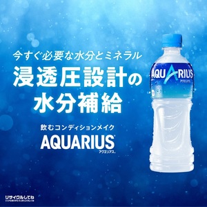 【定期便】アクエリアス 500mlPET（24本入）×3か月 コカ･コーラ  スポーツドリンク 水分補給 BB-0038