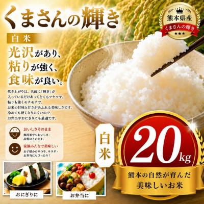 ふるさと納税 玉名市 【令和8年産】熊本県産 くまさんの輝き 白米 20kg