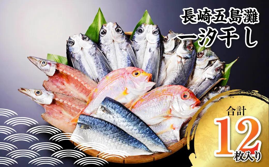 【ふるなびWEEK対象】【7営業日以内発送】長崎五島灘一汐干し 合計12枚 干物 ひもの 魚介 海鮮 魚 おつまみ おかず 肴