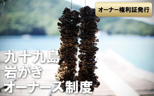 【2026年夏お届け】九十九島 岩がき オーナーズ制度 産地直送 冷蔵 牡蠣 かき カキ むき身 岩牡蠣 オイスター いわ牡蠣 貝 海鮮 魚介 魚介類 新鮮 カキフライ 牡蠣鍋 焼き牡蠣 アヒージョ 長崎県 佐世保市