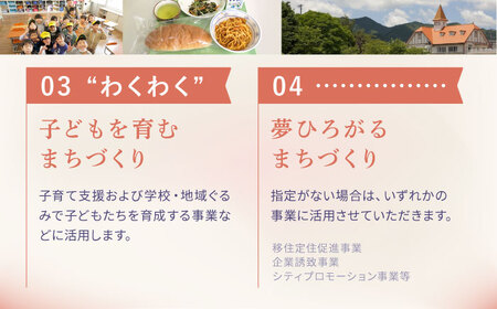 【返礼品なし】佐賀県嬉野市 まちづくり応援寄附金（4，000円分）[NZY954]