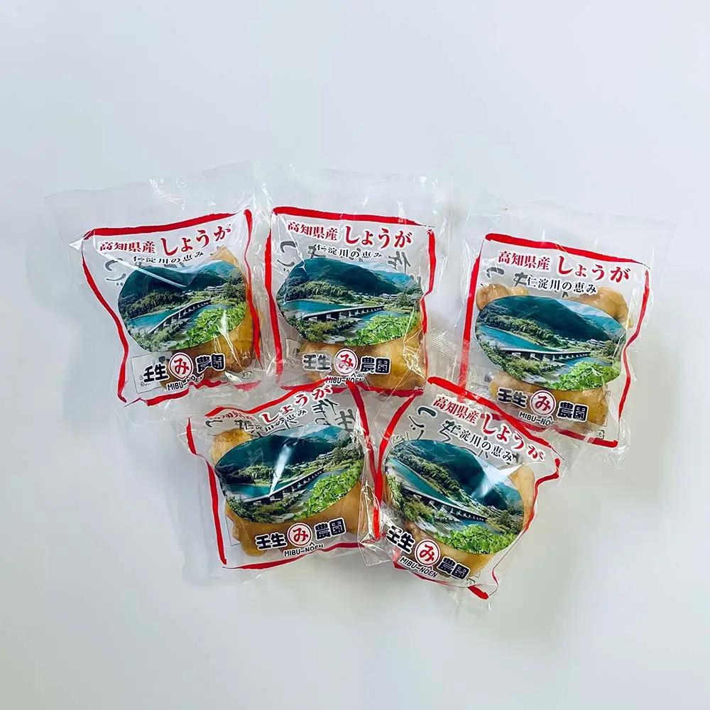 生姜 小分け 100g×5袋　高知県産 しょうが 国産 囲い生姜 使い切りサイズ 低農薬 お試し