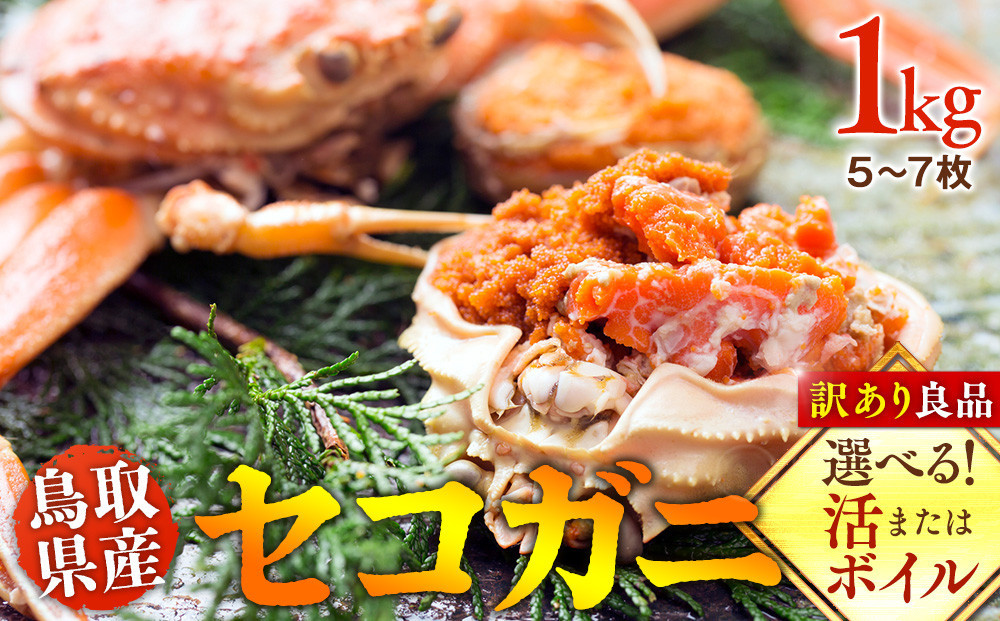 【活】鳥取県産　セコガニ　訳あり良品　1ｋg(5～7枚)《かに カニ 蟹 セコガニ※2025/11/6～2025/12/25に順次発送予定※着日指定不可  離島不可（北海道、沖縄本島は配送可能）