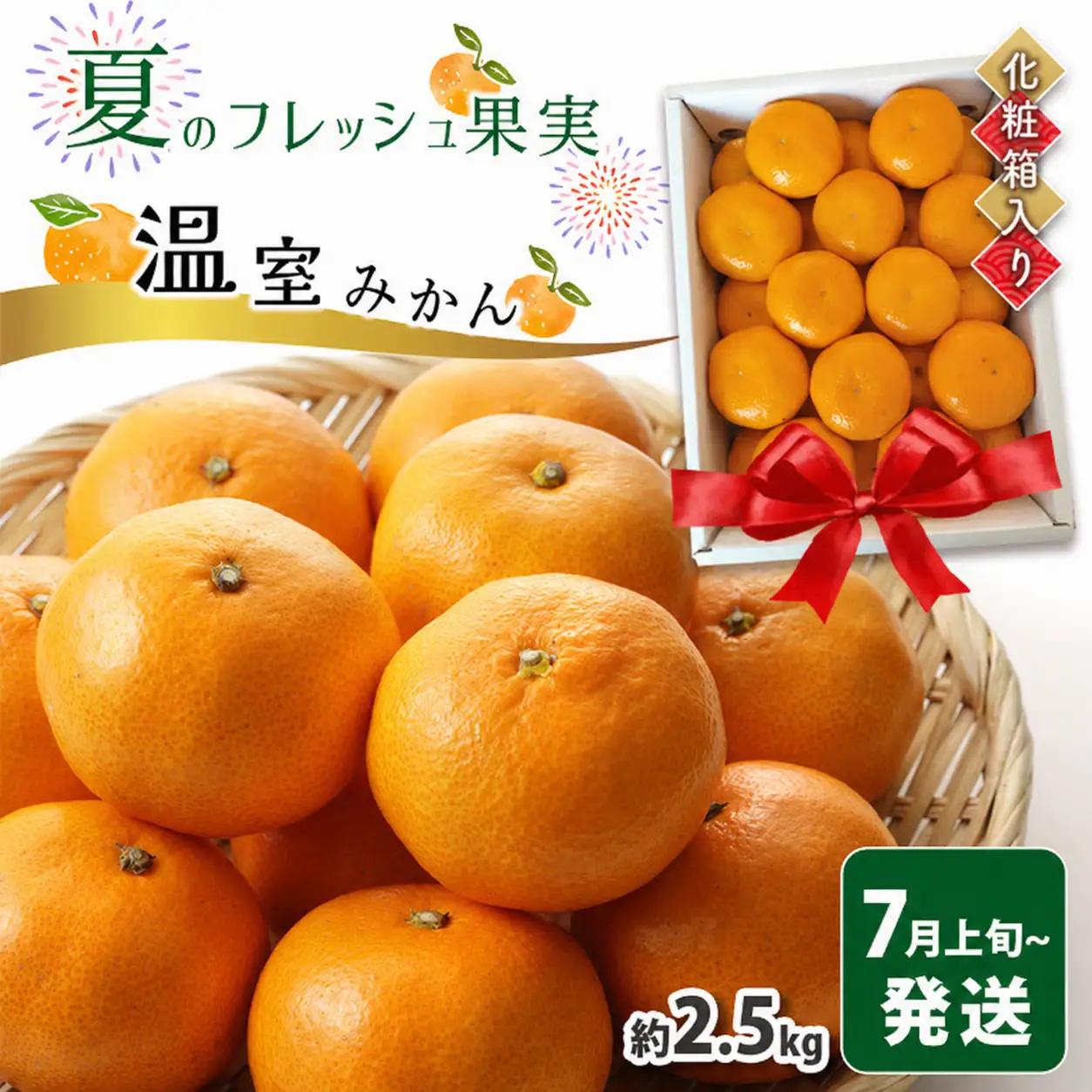 【 贈答用 】温室みかん  約2.5kg｜豊華の夢ロード ※化粧箱入り