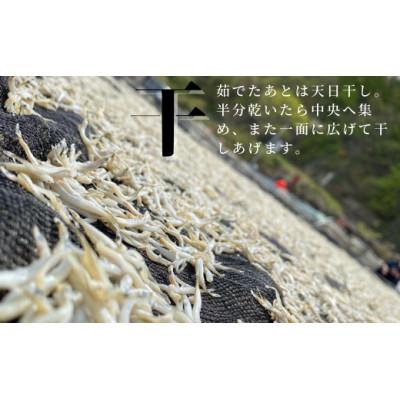 ふるさと納税 久慈市 【久慈港水揚げ】干し小女子120g　36-16 |  | 02
