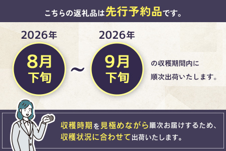 ぶどう ニューピオーネ 1kg+100g補償付 果物 フルーツ B683