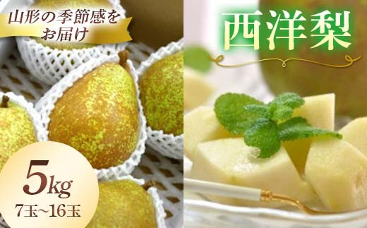 【先行予約2026年発送】西洋梨 7玉～16玉 5kg《品種指定はできません》  なし ナシ 梨 デザート フルーツ 果物 くだもの 果実 食品 山形県 FSY-2708