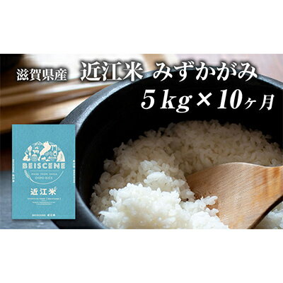 【ふるさと納税】【定期便】令和7年産新米　滋賀県豊郷町産　近江米 みずかがみ　5kg×10ヶ月 お米 白米 ごはん ライス 主食 炭水化物 おにぎり 　お届け：ご入金の翌月中旬に出荷いたします※2025年10月より順次出荷開始