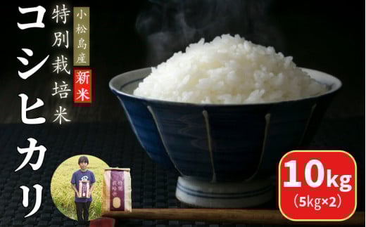 【2025年9月順次発送】 令和7年産 新米 白米 コシヒカリ 10kg（5㎏×2） 特別栽培米 健康 安心 安全   四国 徳島 小松島 送料無料  米 おいしい kome お米 こめ おこめ こしひかり 白米 精米 国産 ごはん ご飯 白飯 ゴハン 人気 コスパ おすすめ ふるさと TKG 卵かけご飯 おにぎり おむすび うめ 鮭 海苔