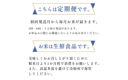 【定期便】特別栽培米 コシヒカリ 丹の国穂まれ 精米 5kg×3回 新米 令和7年度産 15kg 京都府 中丹 舞鶴 綾部 福知山 こしひかり お米 白米 ご飯 米 主食 白ご飯 農協 JA