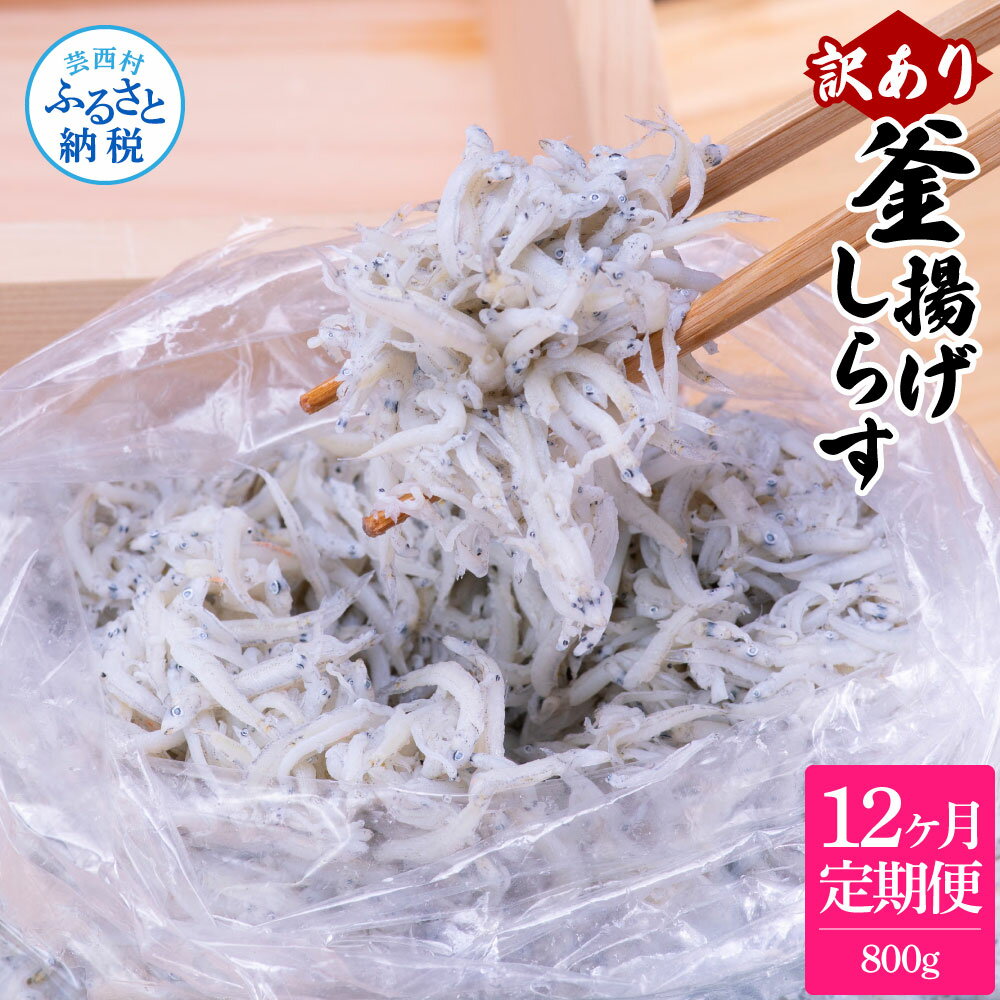 【ふるさと納税】定期便 しらす 800g 訳あり 釜揚げしらす 800g×12回定期便 高知県産 釜揚げシラス 簡易梱包 ご飯のお供 離乳食 訳アリ 大容量 不揃い シラス 国産 釜揚げ 新鮮 しらす丼 冷凍配送 おかず 返礼品 84000円 じゃこ 定期コース 12ヶ月 ＜12ヶ月定期便＞