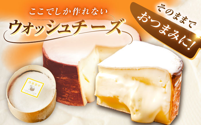 北海道 茂喜登牛 チーズ 約650g（ウォッシュタイプ）《足寄町》【しあわせチーズ工房】チーズ ウォッシュチーズ ウォッシュタイプ 生乳 ミルク 乳製品 おつまみ おすすめ ギフト 650g 北海道産