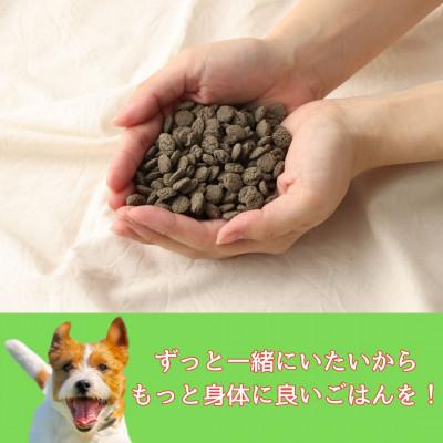 ふるさと納税 高鍋町 おさかな華 500g　薄型タイプ(ナチュラルドッグフード) |  | 01