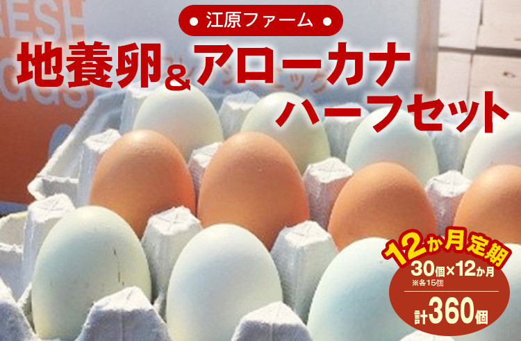 
【定期便12か月】江原ファーム　地養卵＆アローカナハーフセット（30個） | 卵 定期便 30個 玉子 たまご タマゴ 生卵 鶏卵 生みたて 産みたて アローカナ 地養卵 食べくらべ 食べ比べ セット 新鮮 濃厚 健康 青い卵 TKG たまごかけごはん ご飯のお供 国産 ギフト 贈答 贈り物 お中元 お歳暮 プレゼント 茨城県 古河市 直送 農家直送 産地直送 _AG21
