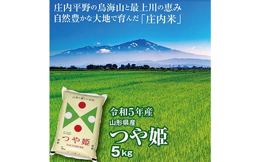 令和5年産 山形県の米どころ庄内平野で育った庄内米 つや姫5kg F2Y-3675