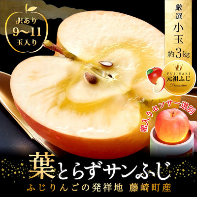 [年明け発送] 葉とらずサンふじ 厳選 小玉 約3kg ご家庭用りんご(訳あり) 青森リンゴ 林檎【配送不可地域：離島・沖縄】【1558471】