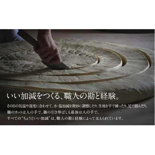 氷見うどん海津屋〈細麺・餅めん〉2種セット | 海津屋 氷見 乾麺 ギフト 送料無料 細麺 手延べ ご当地 富山県 麺類 うどん セット 氷見うどん 食べ比べ_イメージ2