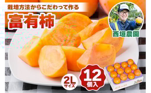 [先行予約／令和8年産]《柿の王様》西垣農園の富有柿 2Lサイズ (12個入)【栽培方法からこだわって作る良質の富有柿】[mt018]  柿 かき フルーツ 果物 くだもの