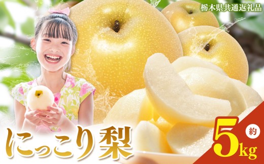 【2026年先行予約】栃木県産 梨 にっこり 5kg | ニッコリ なし ナシ 完熟 果物 フルーツ プレゼント ご褒美 お取り寄せ 贈答 おいしい ジューシー 数量 限定 栃木県産 栃木県 真岡市 減農薬 送料無料