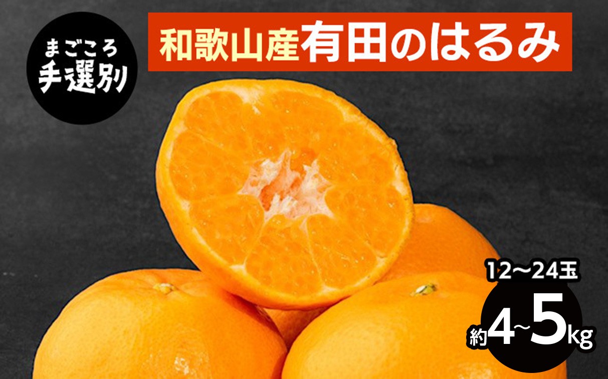 
                  【先行予約】【まごころ手選別】和歌山県産 はるみ 約4～5kg（12～24玉）秀品 S～4Lサイズ混合 柑橘
                