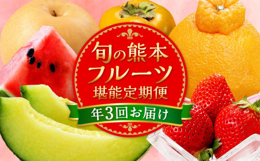 【年3回定期便】熊本の人気フルーツ堪能定期便（1月・5月・10月発送） 熊本県産 果物 毎月お届けギフト