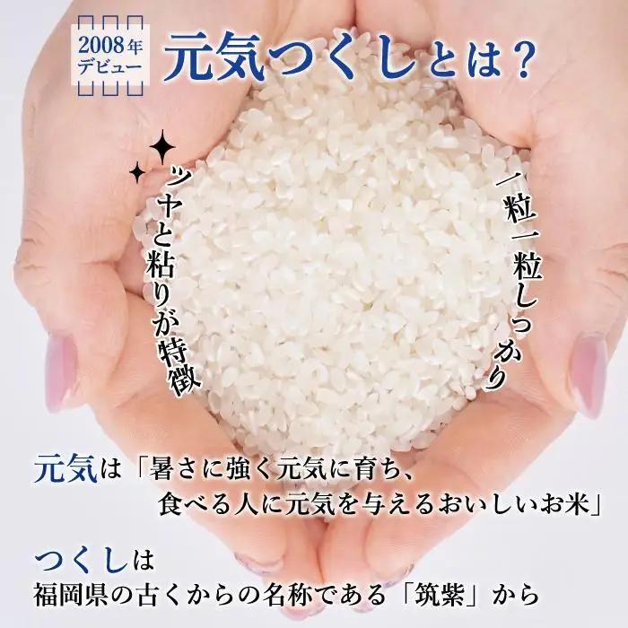 【令和8年度新米】先行予約受付 数量限定 玄米(特別栽培農産物)元気つくし 2kg×5袋 (計10kg)