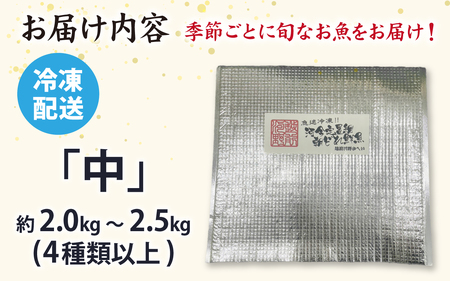 【日本海鮮魚】漁師厳選鮮魚真空冷凍セット　約2g～2.5kg(4種以上)  | 魚 詰め合わせ 新鮮 煮物 焼き物 お造り 刺身 晩酌 食卓 BBQ 急速冷凍 真空パック 鮮魚セット 詰合せ 鮮魚店 