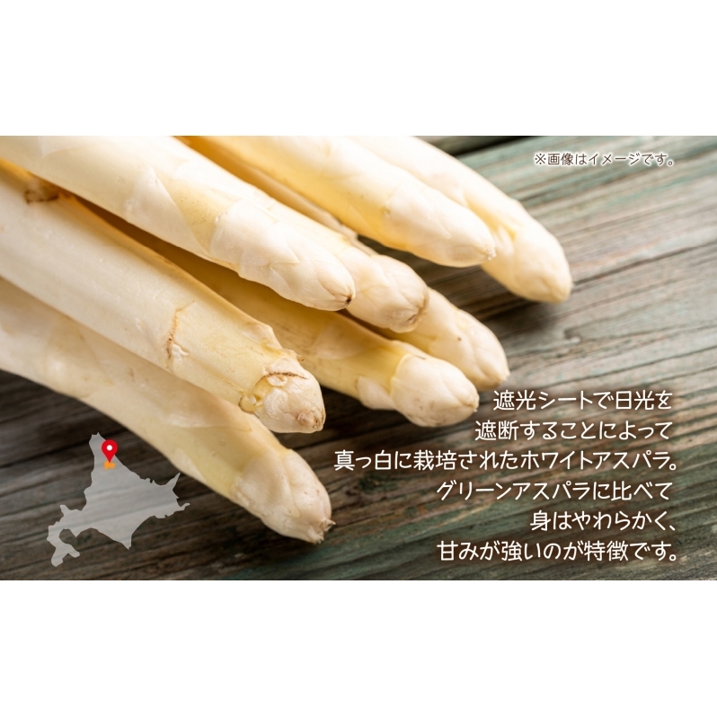 秀品 アスパラセット 計2kg ホワイトアスパラ 2L 3L グリーンアスパラ L 各1kg アスパラ アスパラガス 野菜 新鮮 旬の野菜 朝採れ フレッシュ 野菜 お取り寄せ グルメ 甘い 春 春野