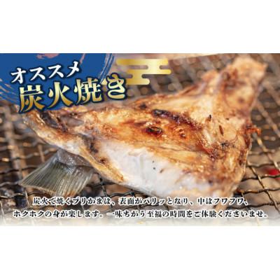 ふるさと納税 南伊勢町 【毎月定期便】伊勢志摩産 ブリカマ 1kg BBQ、煮付、炭火焼がオススメ 真空冷凍 新鮮な鰤全2回 |  | 02