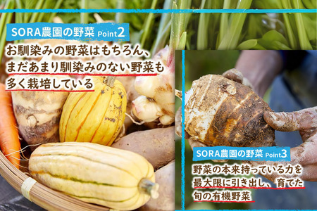 【野菜の定期便】有機野菜セット 夏冬 年２回 | SORA農園