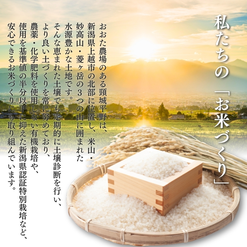 米 【令和7年産】 新潟県上越産 特別栽培米 コシヒカリ 【白米】 5kg 5キロ お米 こめ 白米 こしひかり
