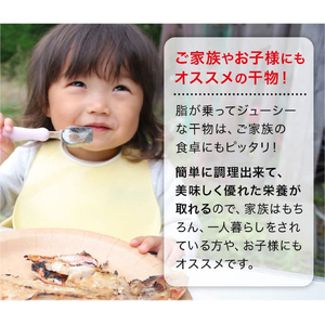 【訳あり】干物 【大島水産】 訳あり干物セット