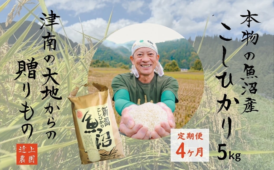 
            【定期便4ヶ月】令和7年産 魚沼産コシヒカリ 白米 5kg | お米 おこめ 白米 精米 おすすめ 人気 新潟県 津南町 近上農園
          