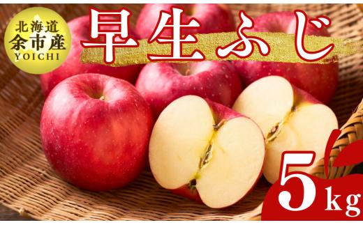 【先行受付：2025年10月下旬以降発送】余市産 早生ふじ 松村農園産のりんご 5kg