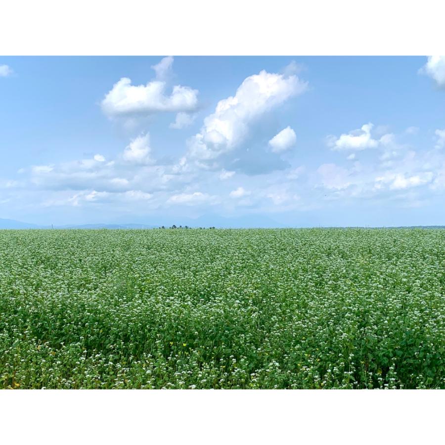 新得そば10把入